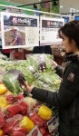 롯데마트 ‘산지뚝심 프로젝트’ 믿고 먹는 신선식품의 비밀