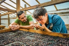 [르포] 콜롬비아 ‘무산소 발효커피 농장’을 가다