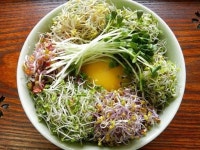 [암극복 건강채소⑦] 새싹채소, 암 잡는 킬러 보양밥