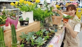 롯데마트 홈 가드닝 나만의 정원에서의 힐링