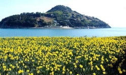 [이기우의 행복한 도전 78] 거제의 봄과 정호승 시 봄길을 좋아하는 까닭