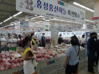 홍성 홍산마늘 국내 마늘시장 도전장