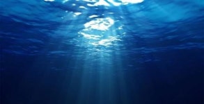 [5분 명상] 지혜를 보고, 본질을 보다