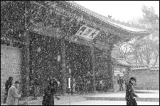 [김봉규의 시선] 사진기자를 오래 하다보니...직업병?