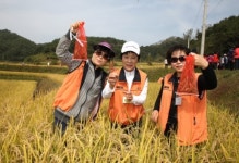 산청군, 친환경농업 현주소와 추진방향 모색