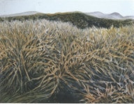 임봉재·박외영 contemporary art展