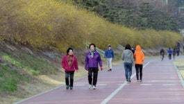 봄기운 만연 산책 즐기는 시민들