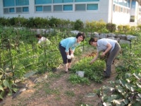 “도심에서 텃밭 일구며 전원생활 즐겨요”