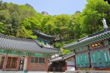 상처 얼룩진 유월을 달래러 길을 나선다