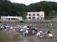 작은 어촌이 주는 팔딱팔딱 싱싱한 체험