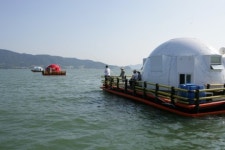 갯벌에서 바다에서 손 맛 보는 즐거움