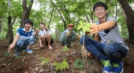 산삼 삼매경에 홀딱 빠져든 5일간의 축제