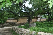 더위를 피해 그림 같은 숲길로 녹아드는 길