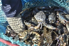 계절마다 색다른 섬 길 산책 오세요