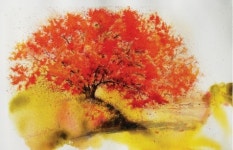 “우리동네 이런 풍경이 있었어?”