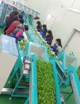 진주중부농협 공선출하회 전국 대상
