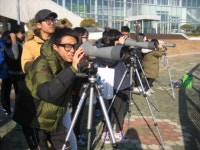 남강에는 어떤 철새가 살까