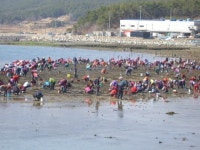 해가 밝아오는 마을 한없이 맑은바다의 선물