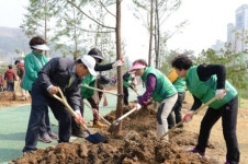 양산시, 시민과 함께하는 식목행사