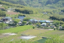 다시 길을 나선다, 구비구비 인생길처럼