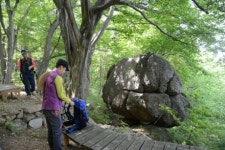 초록 가득한 길 따라 치유의 걷기