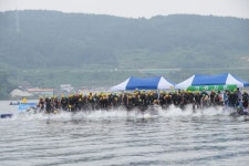 통영 Open Water Swimming 대회 개최