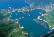 다기능어항 확대개발 대상항 선정