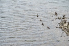 끈질긴 삶 버텨온 민초의 삶을 따라 걷다