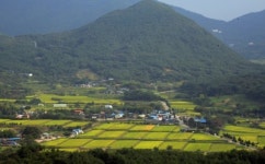 참나무 숲이 참 좋은 이 길