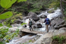 참나무 숲이 참 좋은 이 길