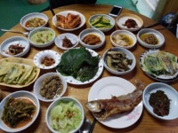 박희운의 맛이 있는 여행 <39> 하동 이야기