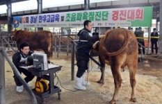 진주축협, 류동완·이방호 축산 컨설턴트 도내 최고