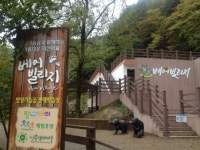 하동군, 의신 베어빌리지 반달가슴곰 2마리 인수