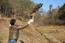 [현장에 가다] 경상대 경남야생동물센터