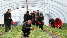 6차 산업화로 100년 농업 준비한다