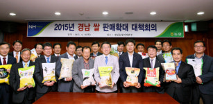 쌀 공동세일즈단 경남 쌀 판매 집중
