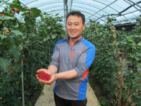 [개방파고 맞서는 지역특화 농업] 김해 산딸기