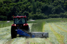 의령군, 조사료 지원정책 확대 시행