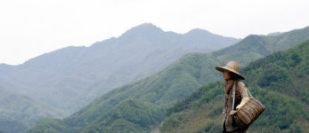 지리산 산야초·효소 연구가 전문희씨