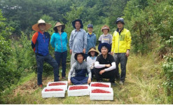 진주농관원, 보리수 수확 일손돕기