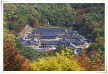 [우리동네 가보자] 합천 해인사