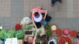 팽팽한 줄다리기