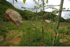 〔천융희의 디카시로 여는 아침〕 무게의 힘