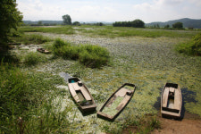 [우리동네 가보자·끝] 창녕 우포늪