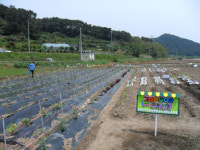 [경남의 휴식처 休·食·處] 창원 오체향마을