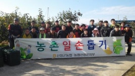 산청군농협·농협산청군지부 감 수확 일손돕기