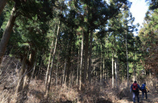 명산 플러스 구례 견두산