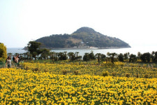 [스토리텔링이 있는 힐링여행] 거제 공곶이