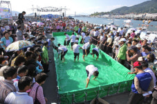 삼천포항 수산물 축제 22~24일 삼천포대교공원