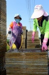 모판작업, 논농사의 시작